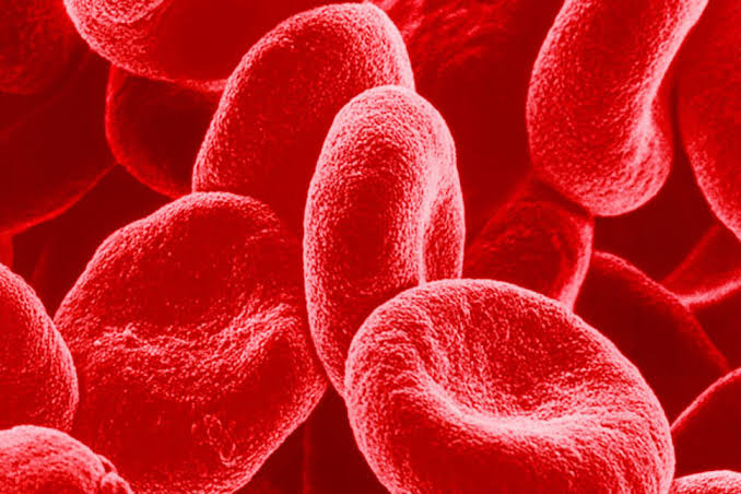 High red blood cell count