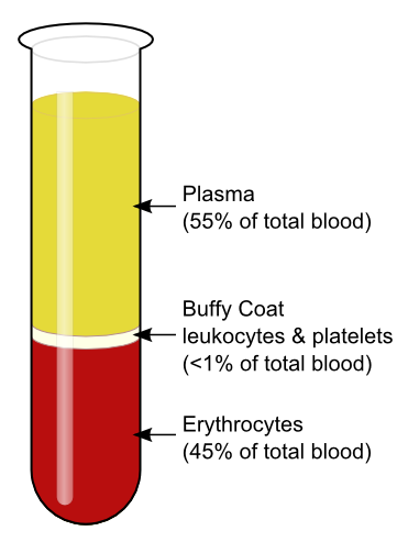 Blood Plasma and WBCs  RBCs 