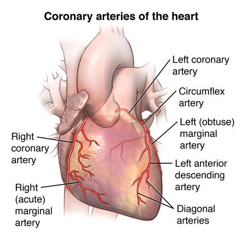 Coronary Artery Disease Diagnosis Treatment